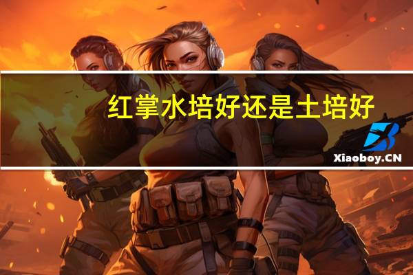 红掌水培好还是土培好
