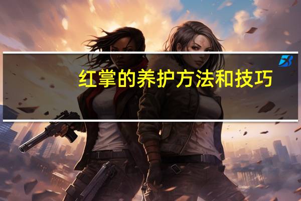 红掌的养护方法和技巧
