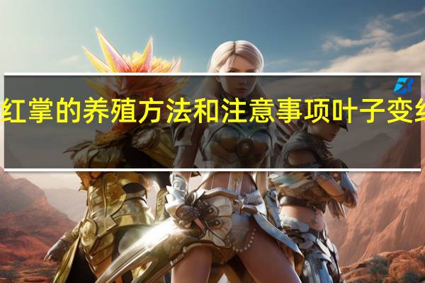 红掌的养殖方法和注意事项叶子变红的花