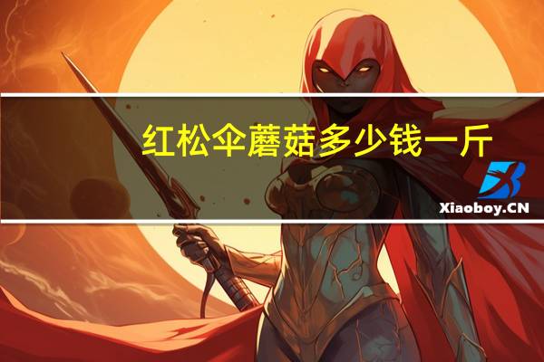 红松伞蘑菇多少钱一斤