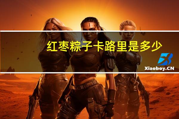 红枣粽子卡路里是多少