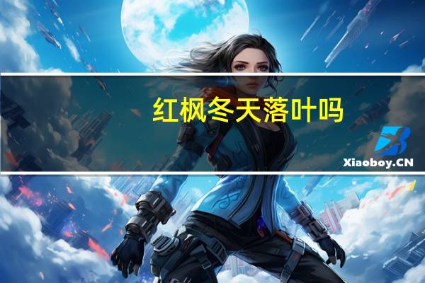 红枫冬天落叶吗