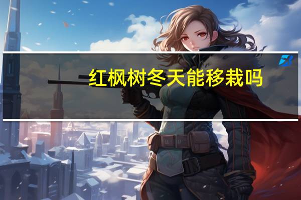 红枫树冬天能移栽吗