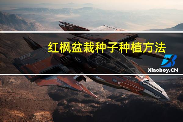 红枫盆栽种子种植方法
