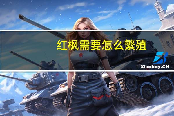 红枫需要怎么繁殖