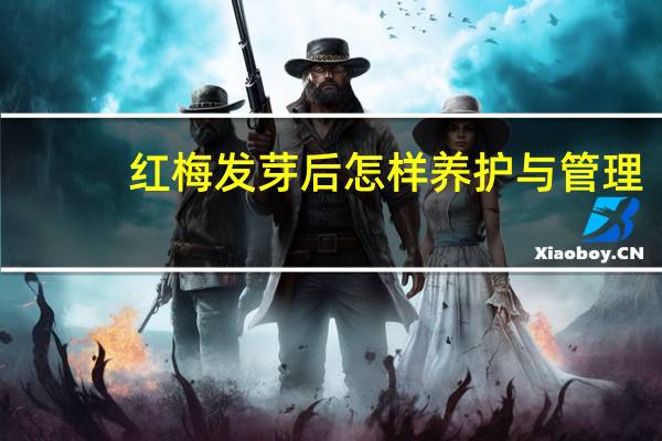 红梅发芽后怎样养护与管理