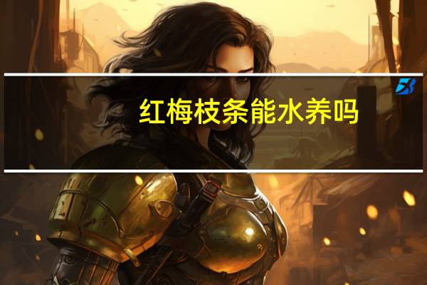 红梅枝条能水养吗