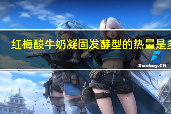 红梅 酸牛奶凝固发酵型的热量是多少