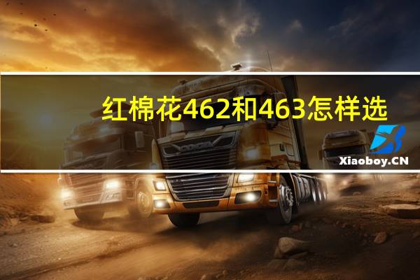 红棉花462和463怎样选