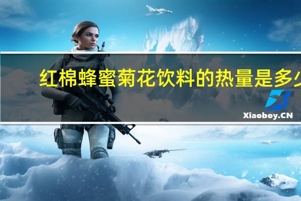 红棉 蜂蜜菊花饮料的热量是多少
