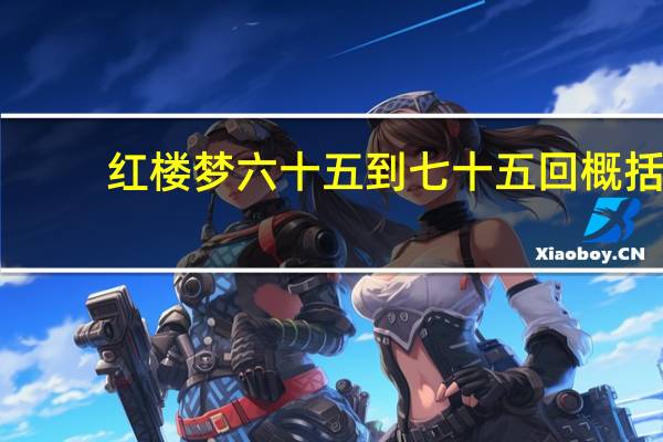 红楼梦六十五到七十五回概括