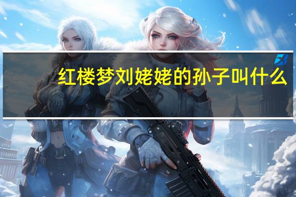 红楼梦刘姥姥的孙子叫什么