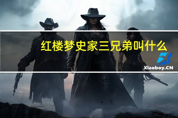 红楼梦史家三兄弟叫什么