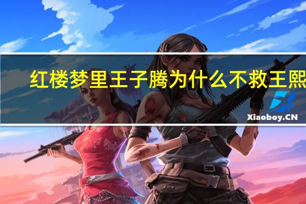 红楼梦里王子腾为什么不救王熙凤
