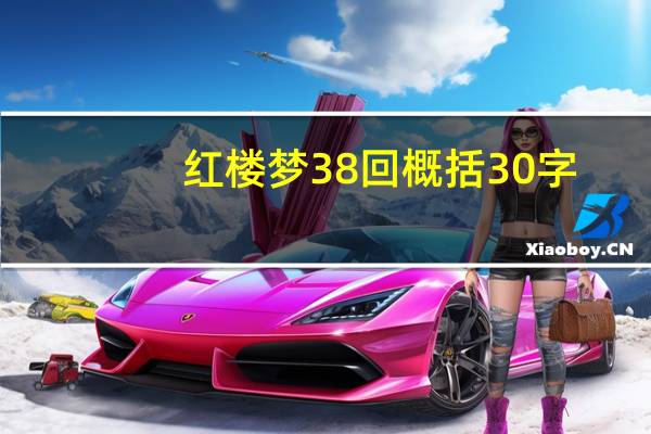 红楼梦38回概括30字
