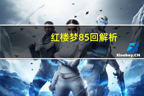 红楼梦85回解析