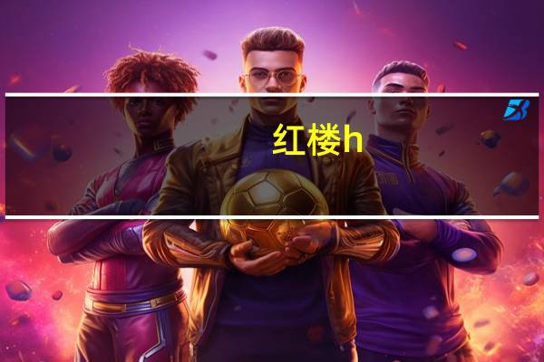 红楼h