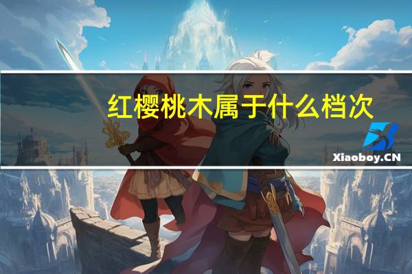 红樱桃木属于什么档次（红樱桃木）