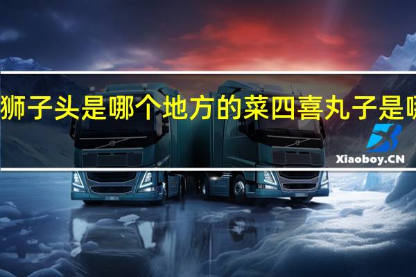 红烧狮子头是哪个地方的菜 四喜丸子是哪里的名菜