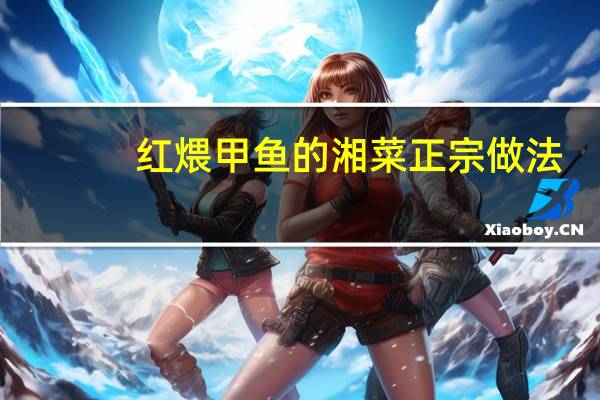 红煨甲鱼的湘菜正宗做法