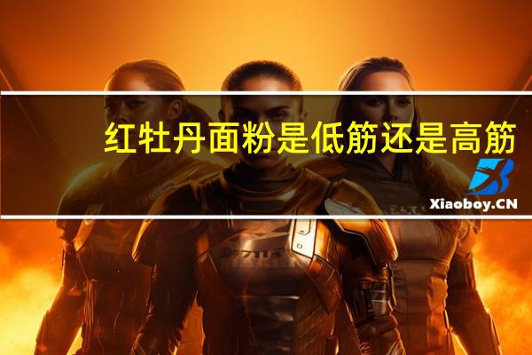 红牡丹面粉是低筋还是高筋