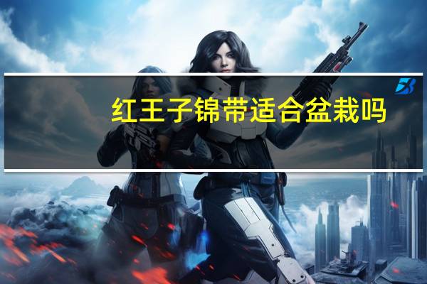 红王子锦带适合盆栽吗