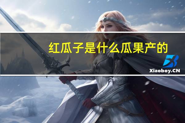红瓜子是什么瓜果产的