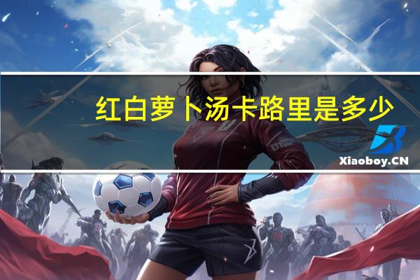 红白萝卜汤卡路里是多少