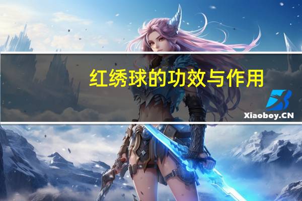 红绣球的功效与作用