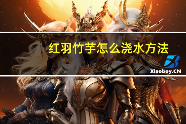 红羽竹芋怎么浇水方法