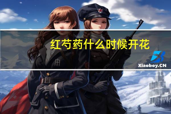 红芍药什么时候开花