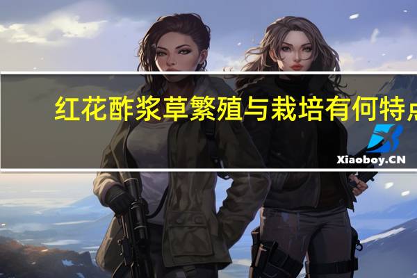 红花酢浆草繁殖与栽培有何特点