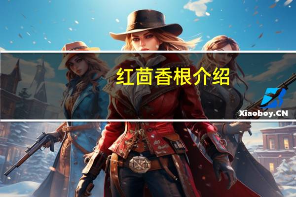 红茴香根介绍