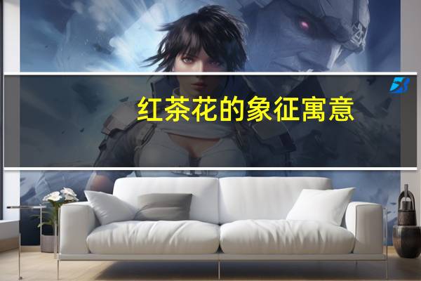 红茶花的象征寓意