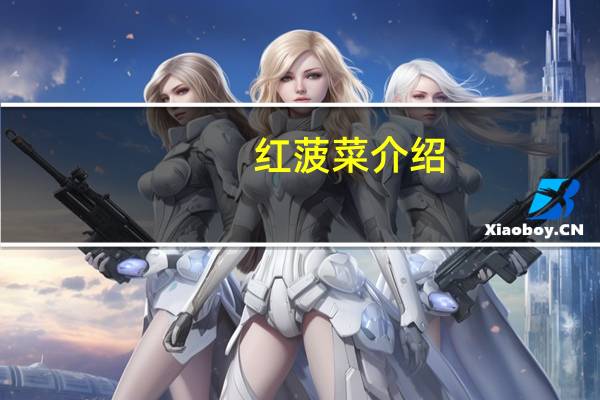 红菠菜介绍