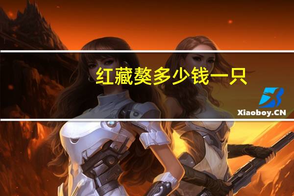 红藏獒多少钱一只（纯种藏獒多少钱一只）