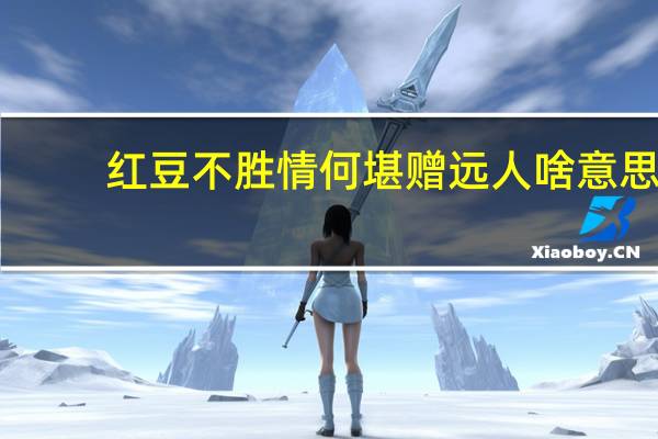 红豆不胜情何堪赠远人啥意思