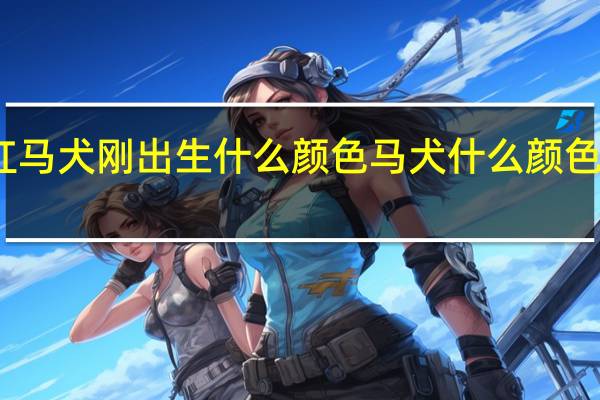 红马犬刚出生什么颜色 马犬什么颜色最正宗