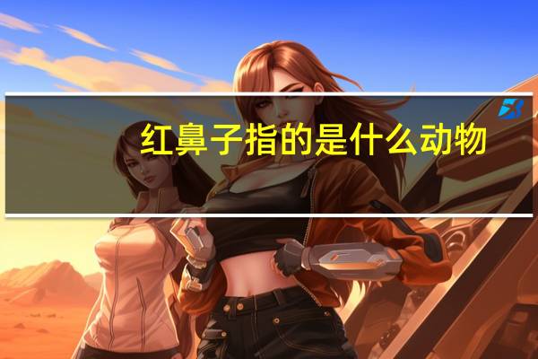 红鼻子指的是什么动物（红鼻子是什么动物）