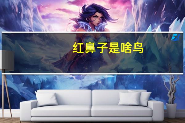 红鼻子是啥鸟