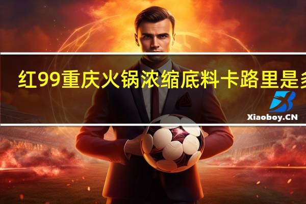 红99 重庆火锅浓缩底料卡路里是多少