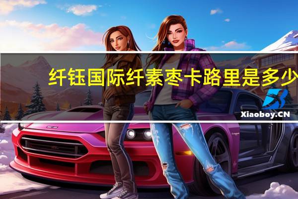 纤钰国际 纤素枣卡路里是多少