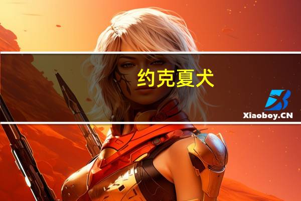 约克夏犬