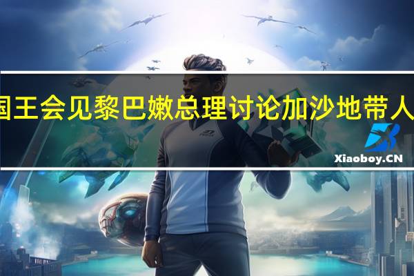 约旦国王会见黎巴嫩总理讨论加沙地带人道主义状况