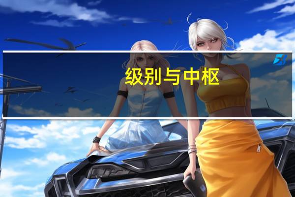 级别与中枢（周中枢什么级别）