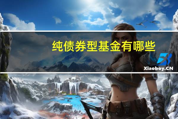 纯债券型基金有哪些