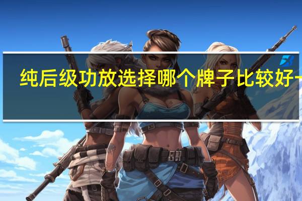 纯后级功放选择哪个牌子比较好一点