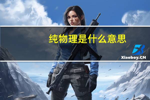 纯物理是什么意思