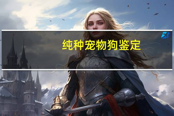 纯种宠物狗鉴定