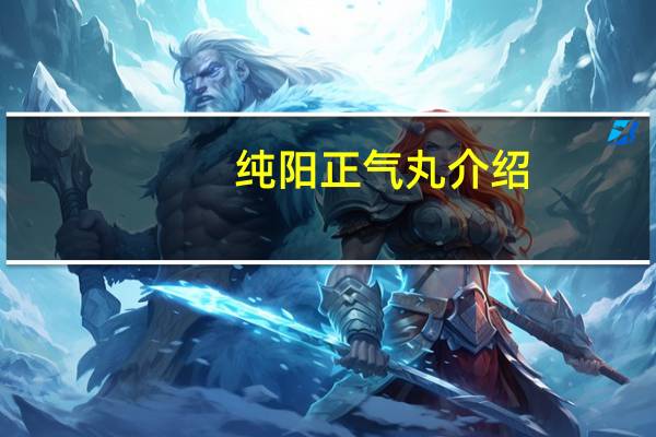 纯阳正气丸介绍